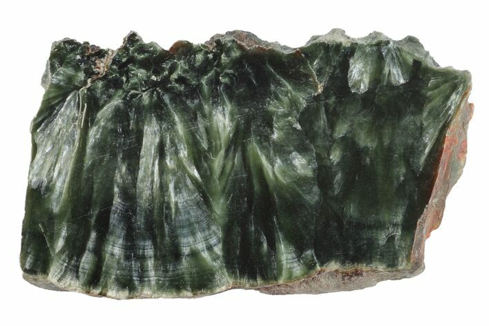 Polished Seraphinite Slab - Siberia #174805